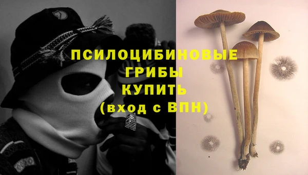2c-b Белоозёрский