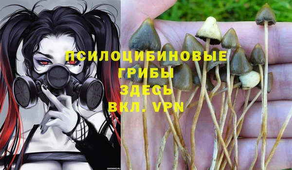 2c-b Белоозёрский