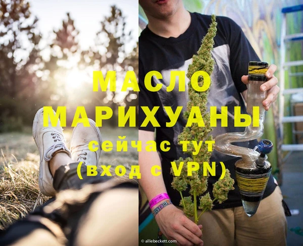 тгк Дегтярск