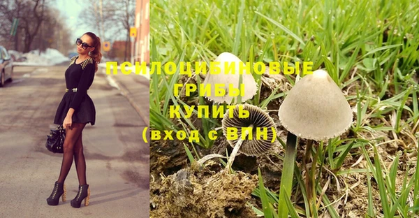 ГАЛЛЮЦИНОГЕННЫЕ ГРИБЫ Дедовск