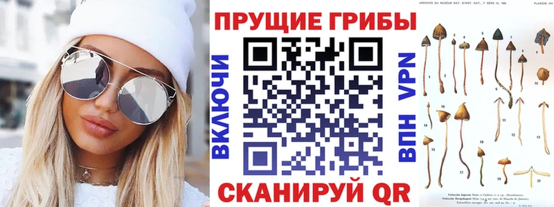 Галлюциногенные грибы ЛСД  где купить наркотик  Вязники 