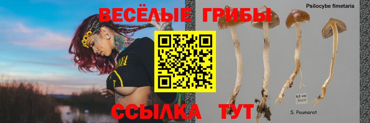 Галлюциногенные грибы мицелий Вязники